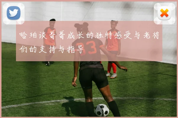 哈珀谈哥哥成长的独特感受与老将们的支持与指导